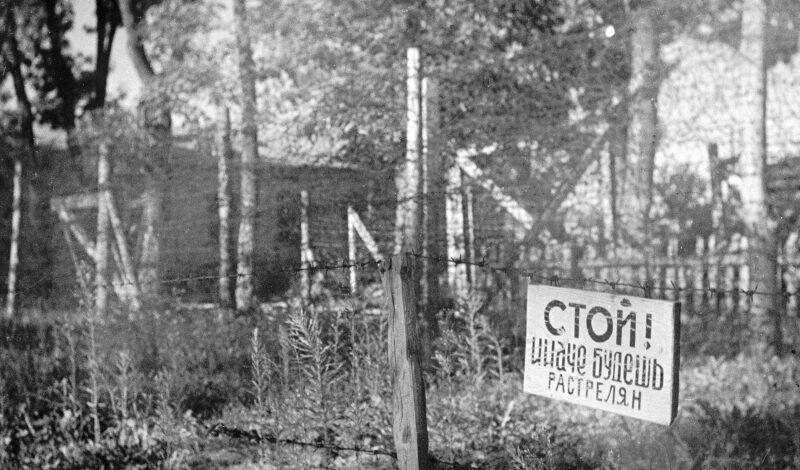 Данные о военнопленных систематизировали